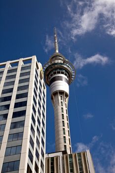 Auckland New Zealand Sky City Tower Downtown