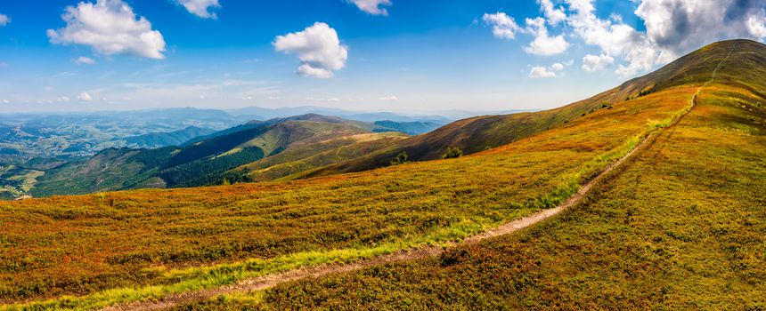 panoramic summer landscape. path through the meadow uphill to the mountain top