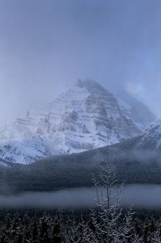 Rocky Mountains in Winter Alberta Canada Banff Park