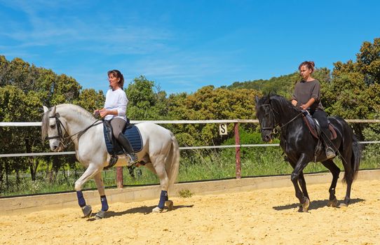 riding woman on a white stallion training in dressage