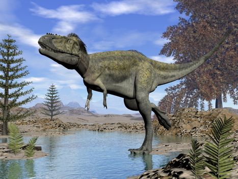 Alioramus dinosaur walking into the water in the desert by day - 3D render
