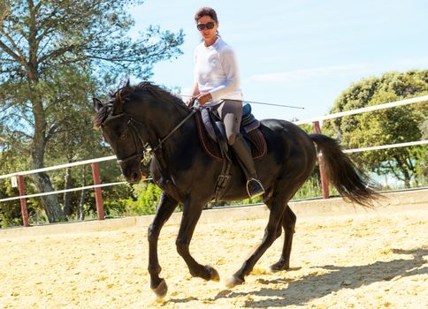 riding woman on a white stallion training in dressage