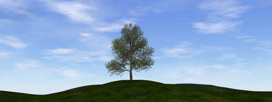 Single tree by beautiful day - 3D render