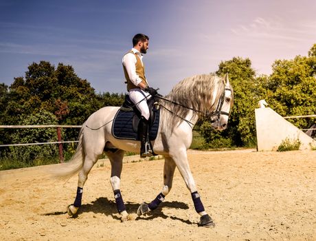 riding man and his stallion in a training of dressage