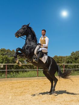 trianing of dressage for a riding man and stallion 