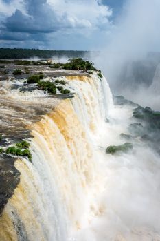 iguazu falls national park. tropical waterfalls and rainforest landscape