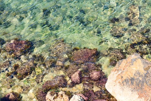 Colorful rocks with green moss in shallow sea water background