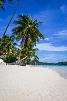 Paradise tropical beach and lagoon in Moorea Island. French Polynesia