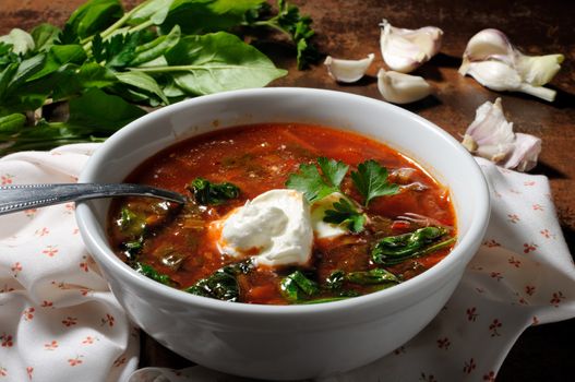 Vegetable bowl, tomato soup with spinach and sour cream. Horizontal shot.