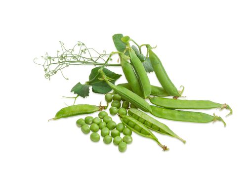 Fresh green peas shelled from the pods, several pods and pea branch with leaves, pods and tendrils on a light background
