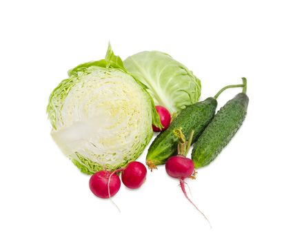 Two halves of a head of the young fresh white cabbage, two fresh cucumbers and several red radish on a light background
