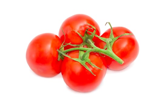 Branch with the several ripe red tomatoes closeup on a light background
