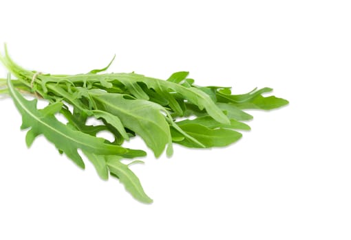 Bunch of the fresh green leaves of the arugula closeup on a light background
