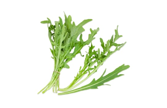 Bundle tied with twine, stem and separate leaf of the fresh arugula closeup on a light background
