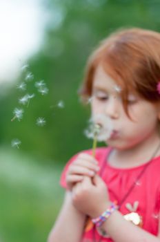 Red hair female child, blurred in background, blows on a flower (Taraxacum). Seeds in foreground.