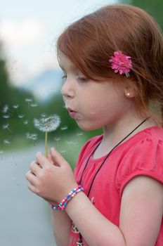 Red hair female child blows on a flower (Taraxacum) with white seeds