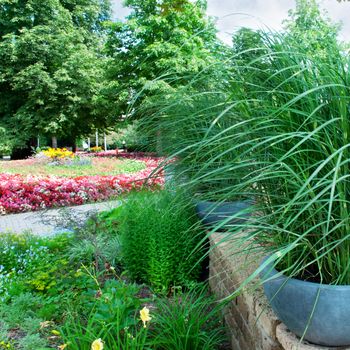 Blossoming flowerbeds in the park