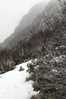 View of a cradle mountain in Tasmania, Australia.