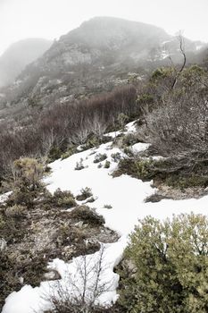 View of a cradle mountain in Tasmania, Australia.