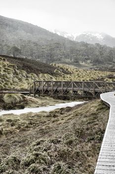 View of a cradle mountain in Tasmania, Australia.