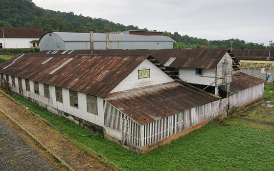 Ruin of the plantation Monte Cafe, Sao Tome and Principe, Africa