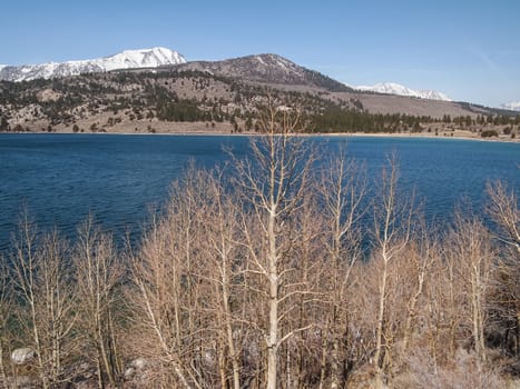 Beautiful lake, snow mountain and pine tree with blue sky in California, USA