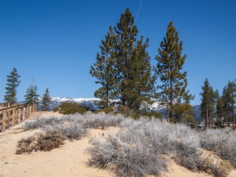 Scenic view of beautiful Lake Tahoe in Spring, landscape of the United States of America, clear water, nice sky, stone island, tree, fresh air and snow mountains