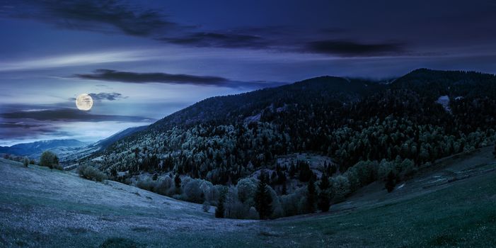 mountain landscape. hillside with trees on green grassy meadow near foggy mountains under overcast sky at night in full moon light