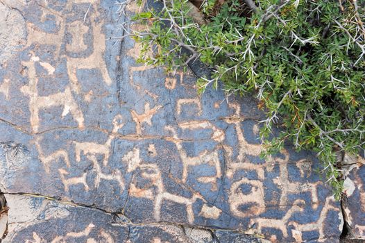 The petroglyphs of El Pintado on Quebrada de Humahuaca, Argentina