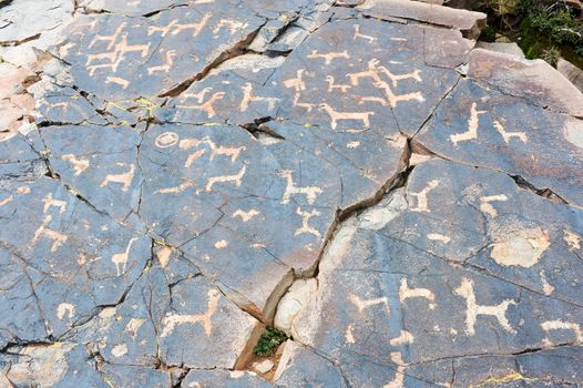 The petroglyphs of El Pintado on Quebrada de Humahuaca, Argentina