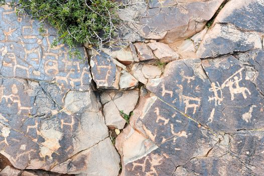 The petroglyphs of El Pintado on Quebrada de Humahuaca, Argentina