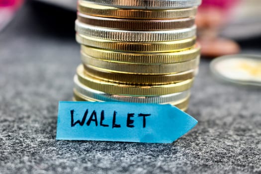 Wallet - inscription on the blue arrow near gold and silver coins.