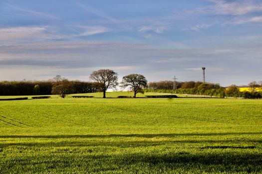 Landscape view in Bedfordshire Area