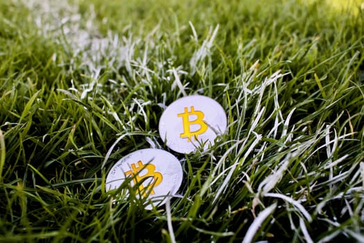 Cryptocurrency physical two silver bitcoin coins in grass on the spring.