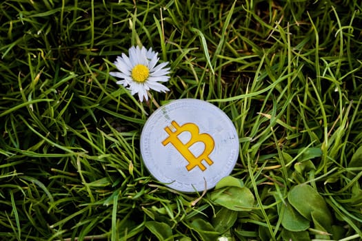 Cryptocurrency physical silver bitcoin coin near flower on the grass.