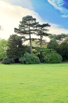 Public park in Bedfordshire Area