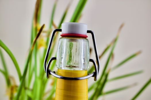 Glass yellow bottle and flower
