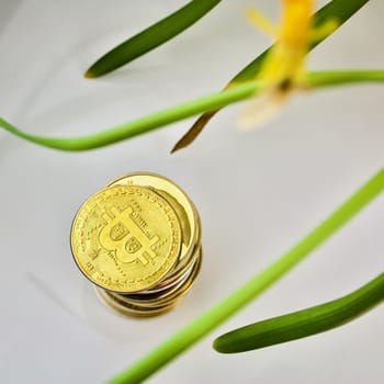 Cryptocurrency physical gold bitcoin coin and flowers