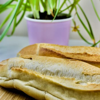 Fresh bread in kitchen near green flower