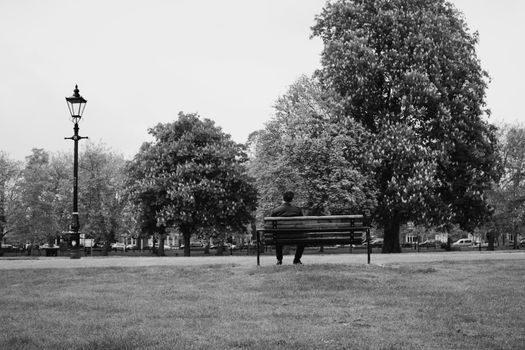 Bedford park, bench, man