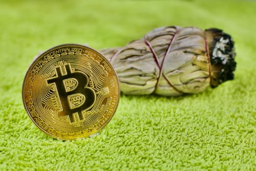 Cryptocurrency gold bitcoin coin and white salvia dry plant.