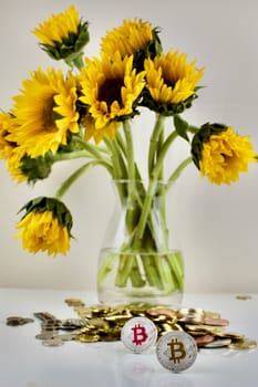 Cryptocurrency physical silver bitcoin coins and yellow sunflower on the table