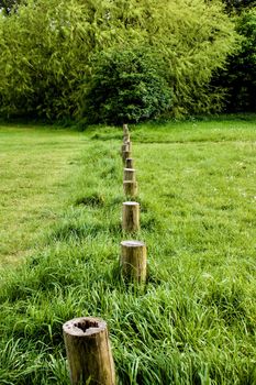 Wooden border on the grass in Bedfordshire Area
