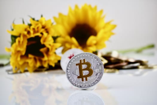 Physical cryptocurrency bitcoin silver coin and sunflowers