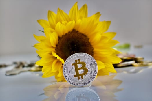 Physical cryptocurrency silver bitcoin coin with yellow sign and sunflower