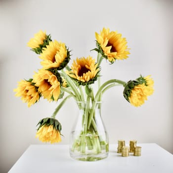 Yellow and green sunflowers in transparent vase