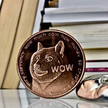 Digital currency physical brass dogecoin coin