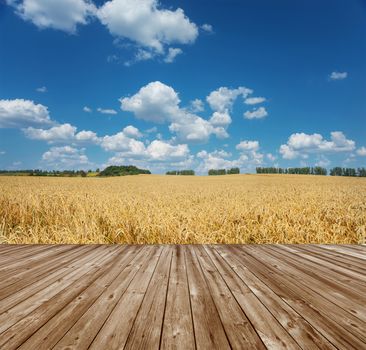 Wooden floor over large yellow field of ripe wheat under blue sky with white clouds