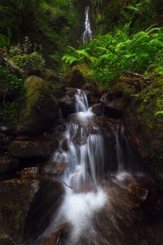 Waterfall in Gorbea Natural Park forest