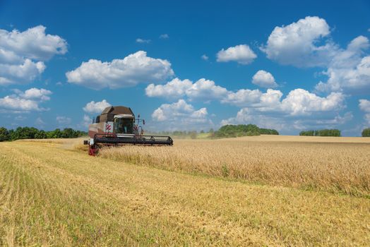 Combine harvester gather the harvest on a large field of ripe wheat against a blue sky with white clouds